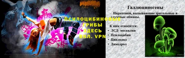 тгк Арсеньев