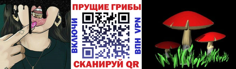 Галлюциногенные грибы Cubensis  Билибино 